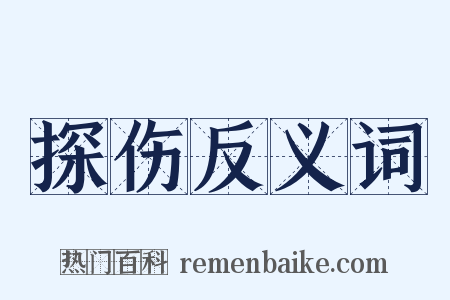 探伤反义词是什么意思的图片